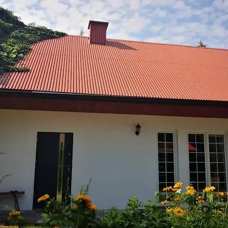 Lawenda I Bluszcz